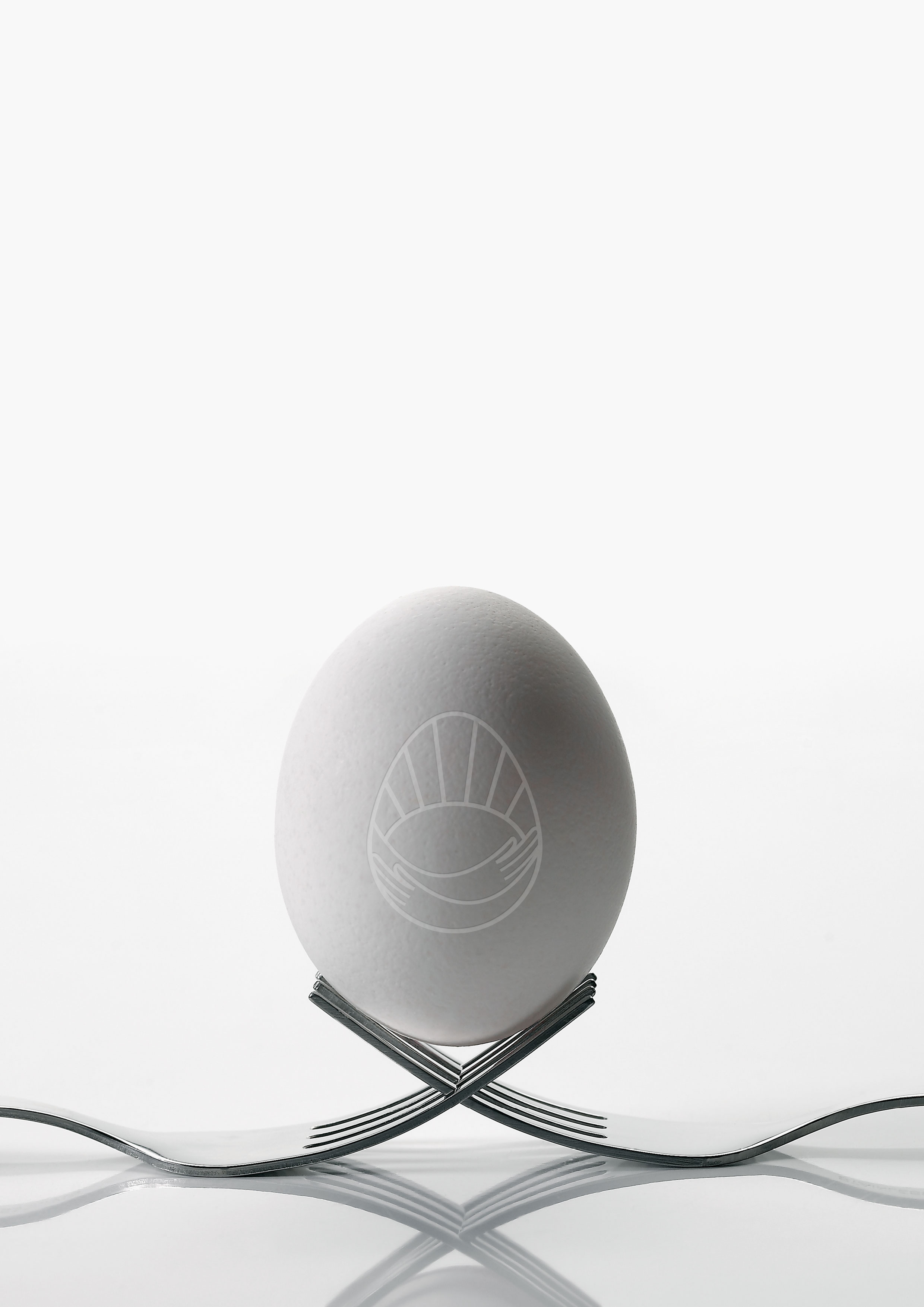 Traditional egg production